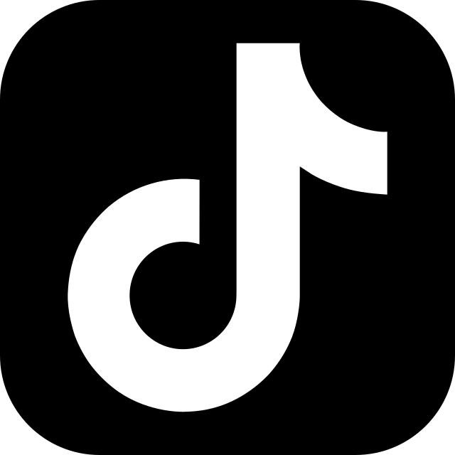 TikTok Icon